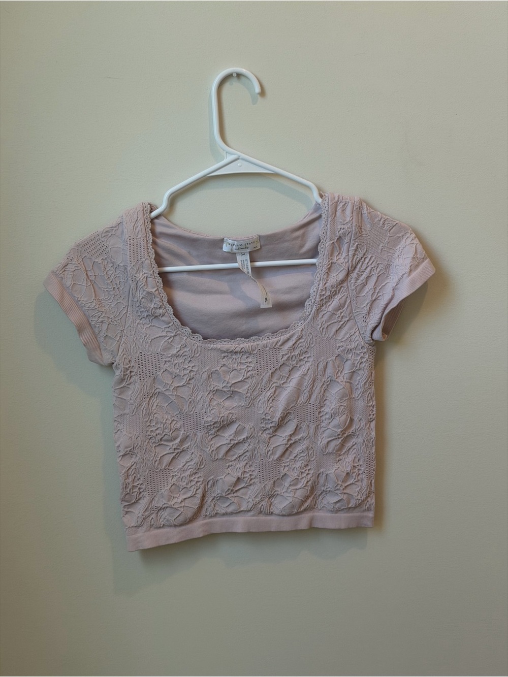 Altar'd State Dusty Pink Lace Crop Top
